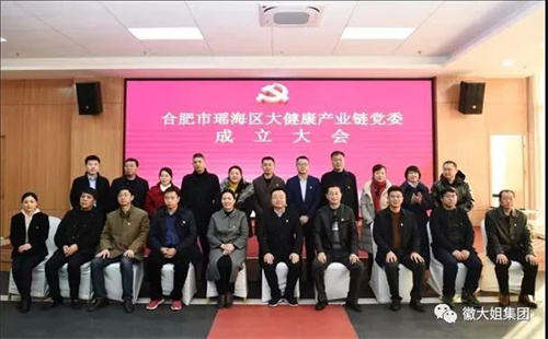 瑤海區大健康產業鏈黨委成立——徽大姐集團黨支部當選產業鏈黨委成員